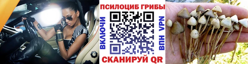 кракен как зайти  Нововоронеж  Галлюциногенные грибы ЛСД 